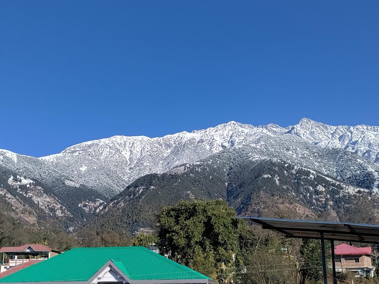 Homestay Palampur View Buitenkant foto