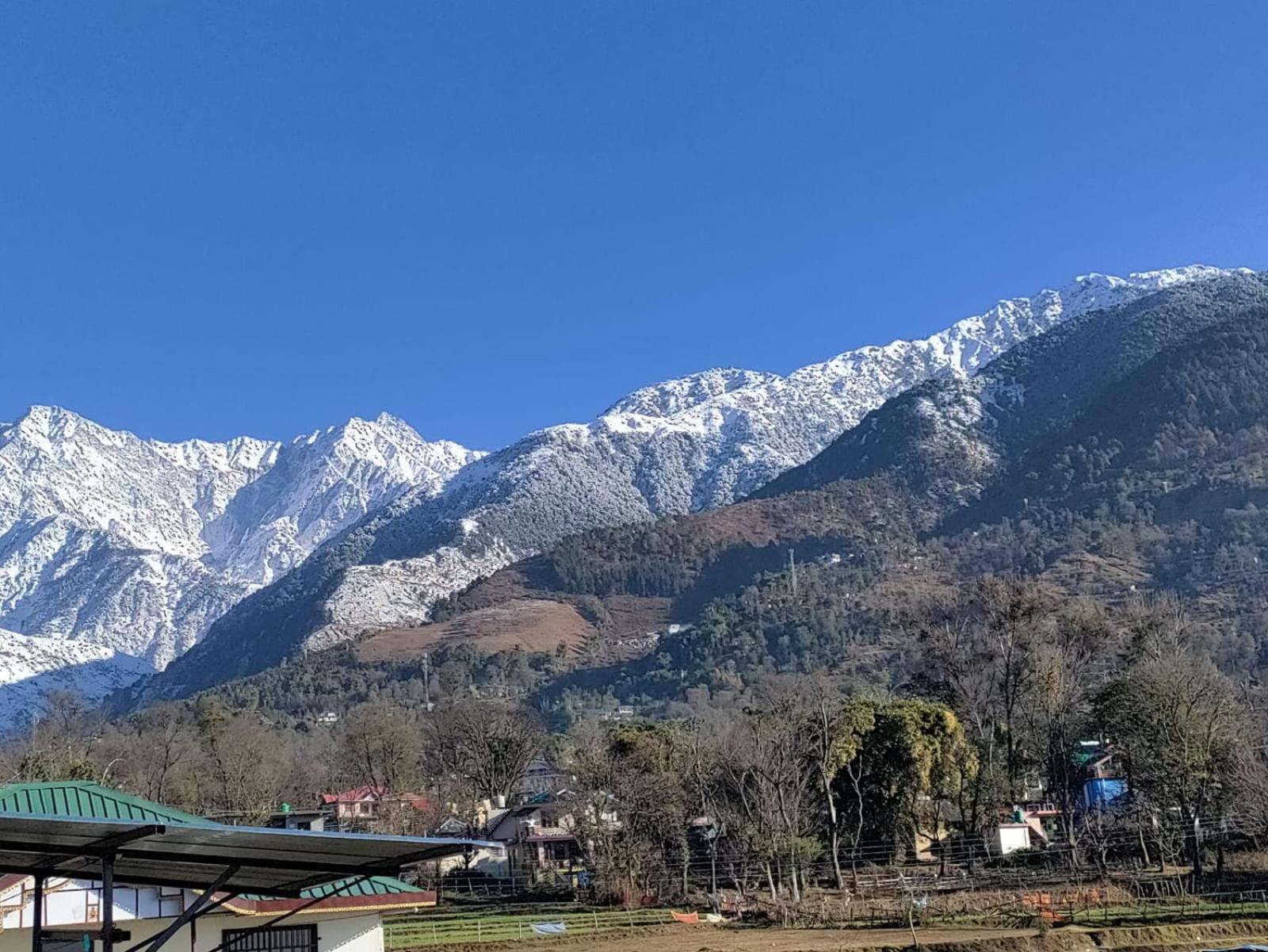 Homestay Palampur View Buitenkant foto