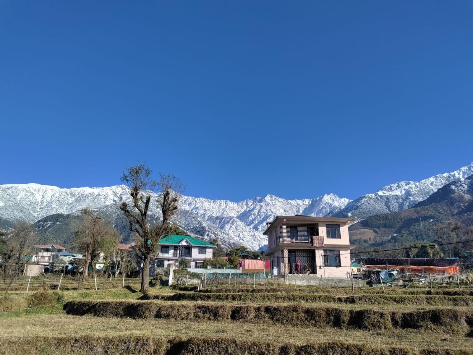 Homestay Palampur View Buitenkant foto