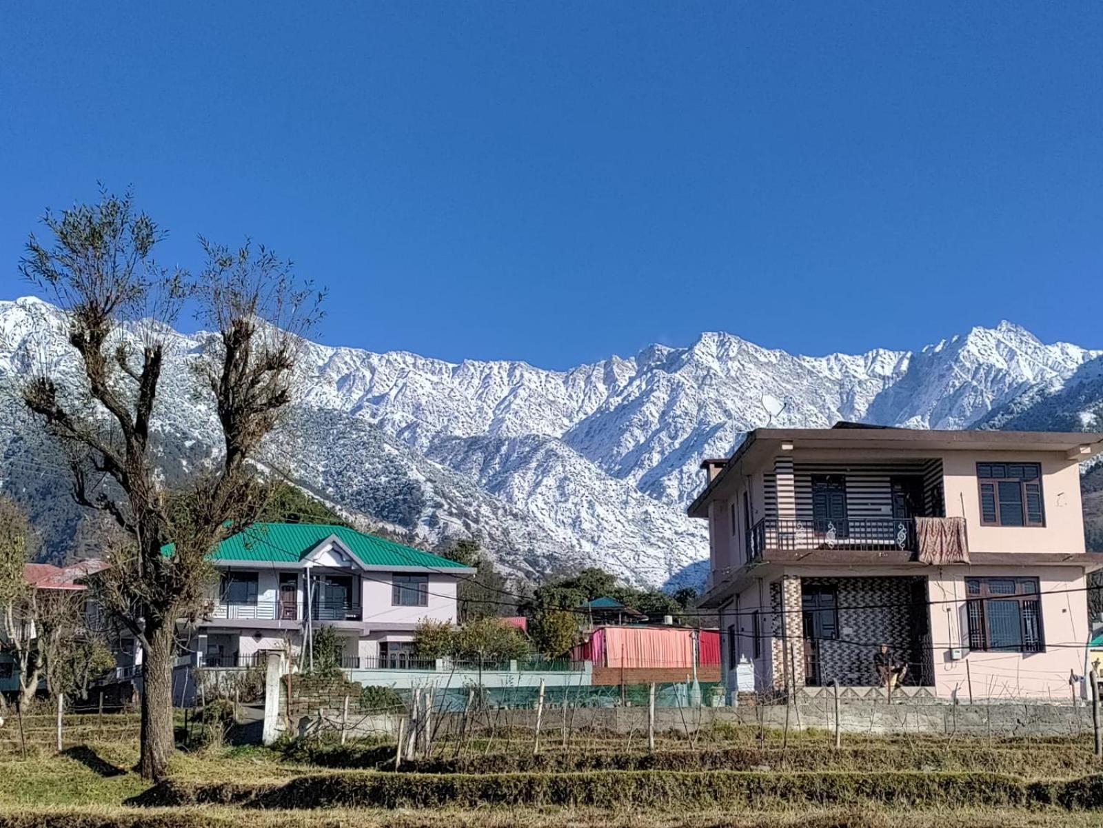 Homestay Palampur View Buitenkant foto